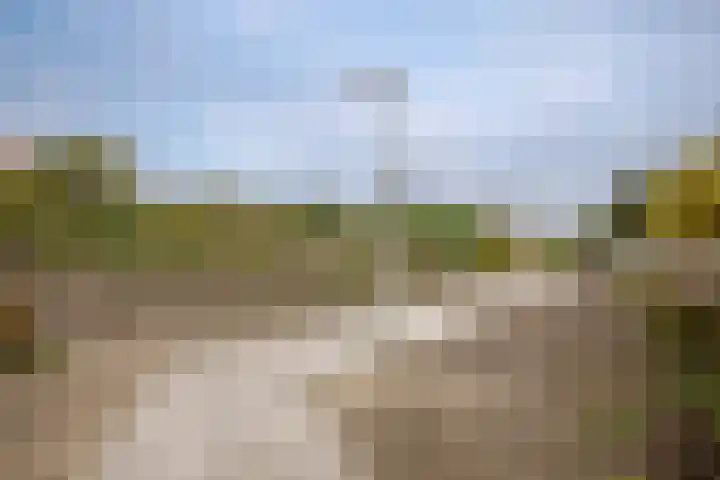 Dubbelspoor 36 Capelle aan den IJssel thumbnail 42