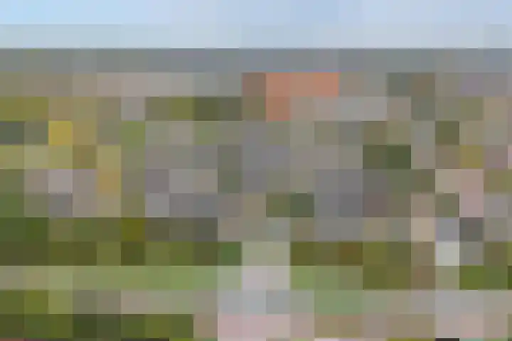 Dubbelspoor 36 Capelle aan den IJssel thumbnail 45