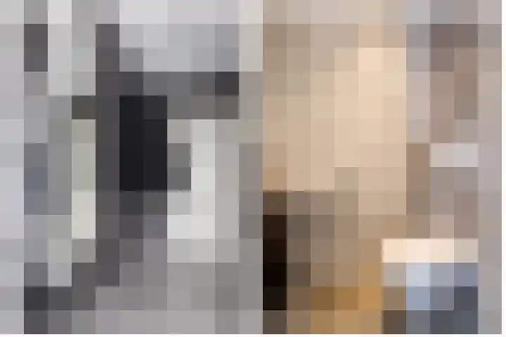 Dubbelspoor 36 Capelle aan den IJssel thumbnail 6
