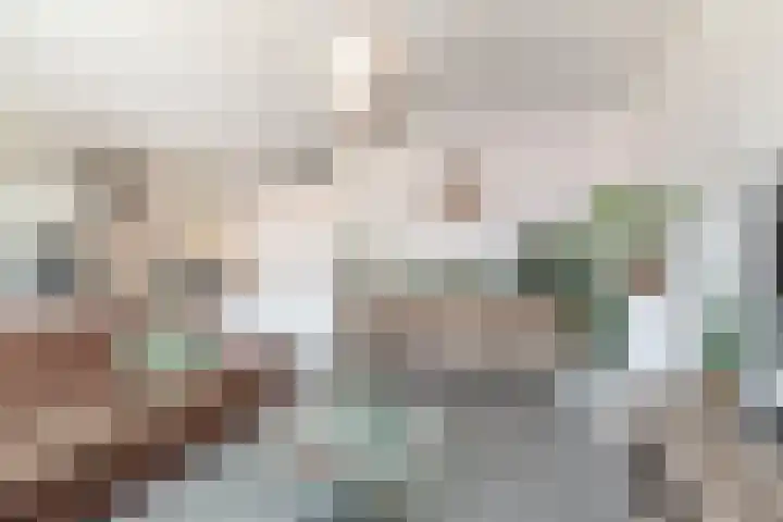 Dubbelspoor 65 Waddinxveen thumbnail 14