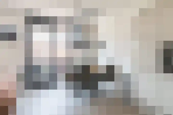 Dubbelspoor 65 Waddinxveen thumbnail 16