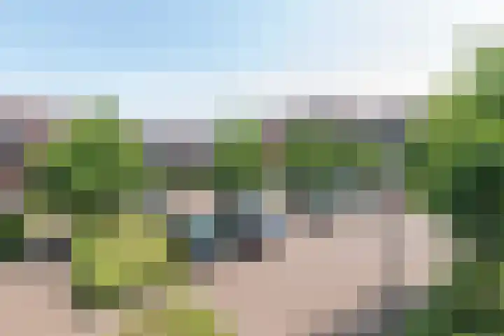Dubbelspoor 65 Waddinxveen thumbnail 31