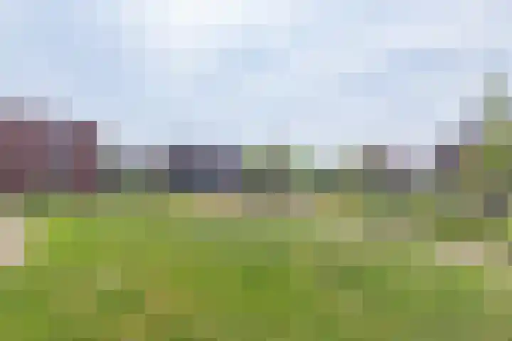 Dubbelspoor 65 Waddinxveen thumbnail 36