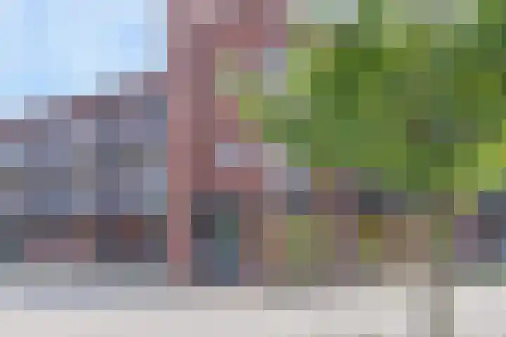 Dubbelspoor 65 Waddinxveen thumbnail 8
