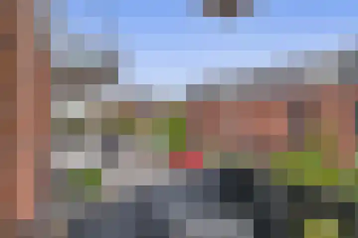 Dubbelspoor 71 Waddinxveen thumbnail 11