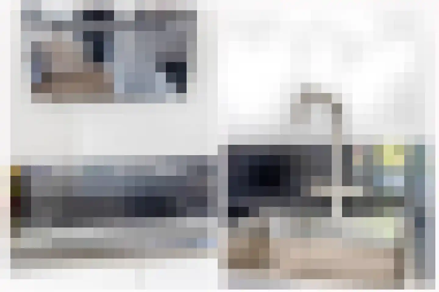 Dubbelspoor 71 Waddinxveen thumbnail 12
