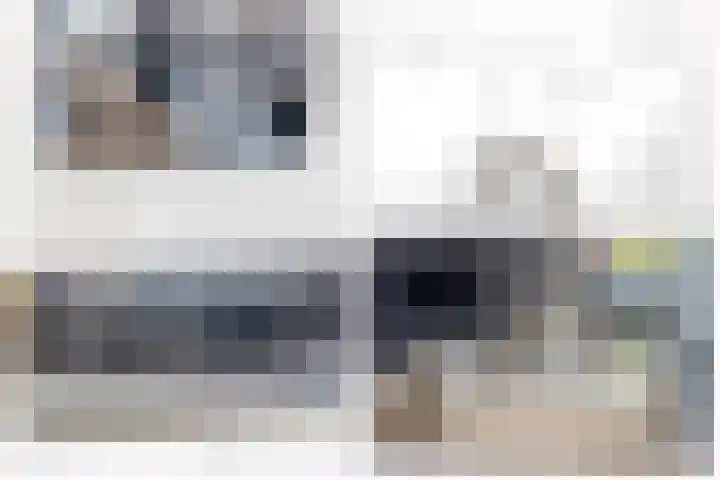 Dubbelspoor 71 Waddinxveen thumbnail 12