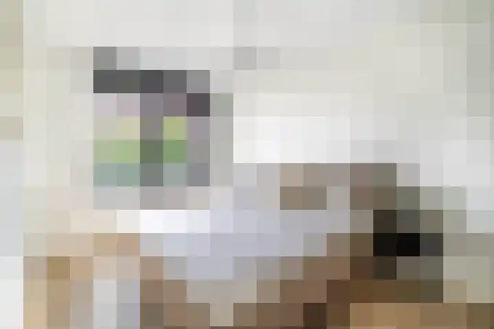 Dubbelspoor 71 Waddinxveen thumbnail 15