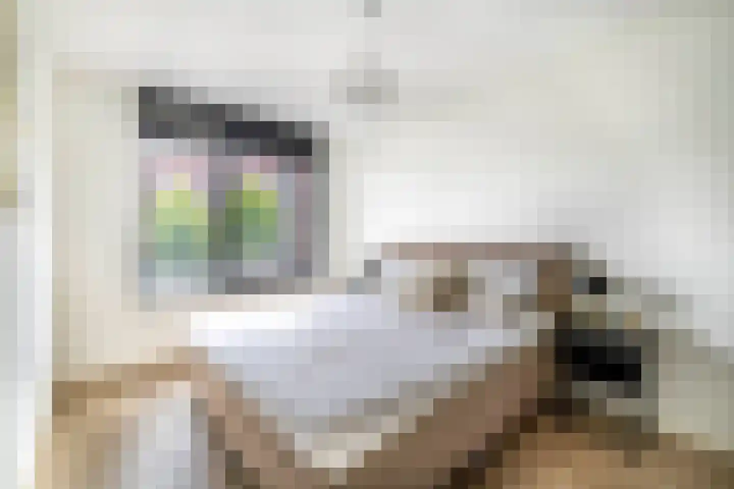 Dubbelspoor 71 Waddinxveen thumbnail 15