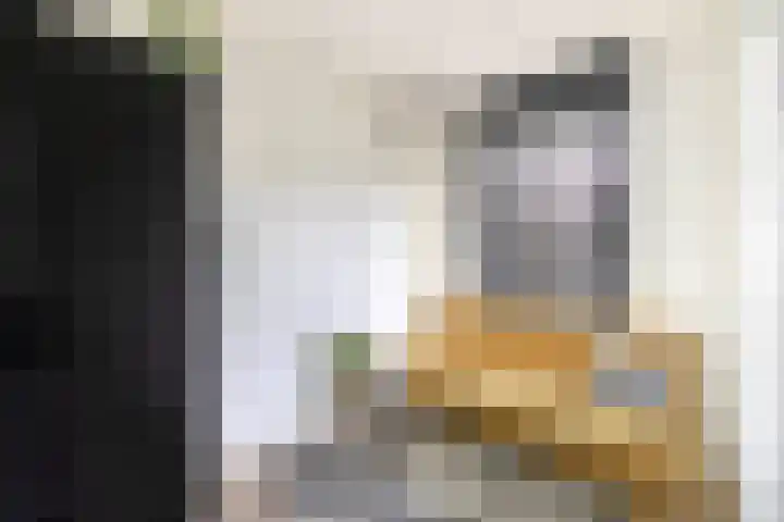 Dubbelspoor 71 Waddinxveen thumbnail 17