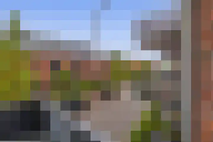 Dubbelspoor 71 Waddinxveen thumbnail 20