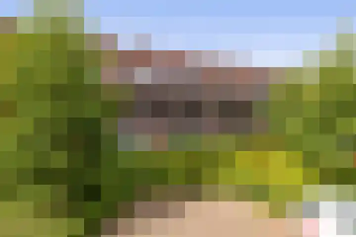 Dubbelspoor 71 Waddinxveen thumbnail 27