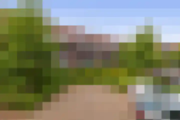Dubbelspoor 71 Waddinxveen thumbnail 29