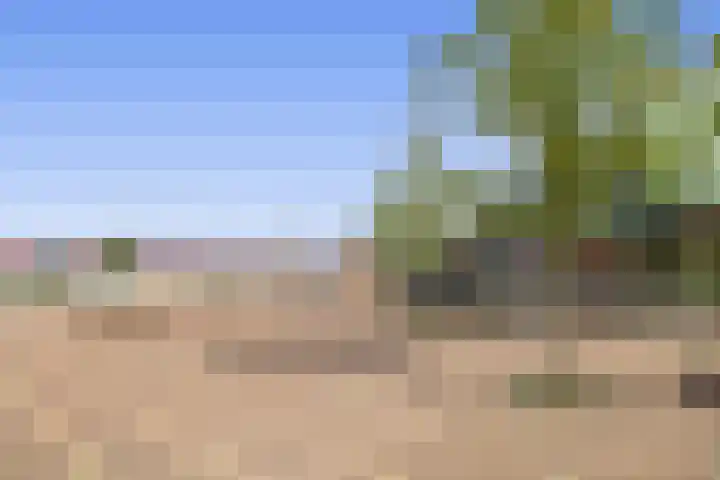 Dubbelspoor 71 Waddinxveen thumbnail 32
