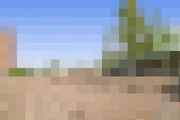 Dubbelspoor 71 Waddinxveen thumbnail 33