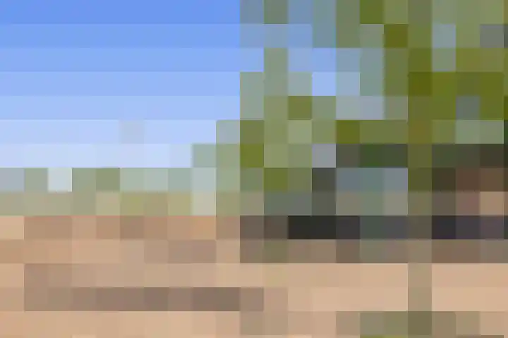 Dubbelspoor 71 Waddinxveen thumbnail 34