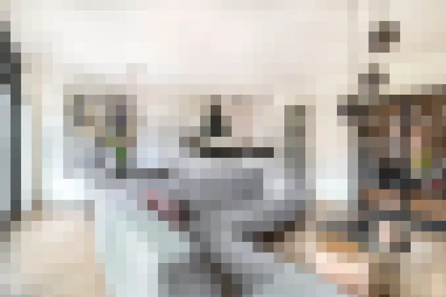 Dubbelspoor 71 Waddinxveen thumbnail 5