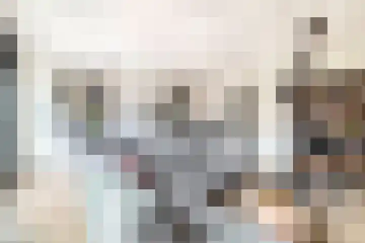 Dubbelspoor 71 Waddinxveen thumbnail 5