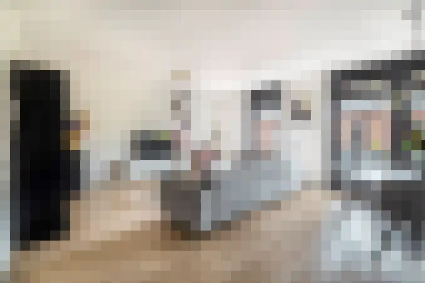 Dubbelspoor 71 Waddinxveen thumbnail 6