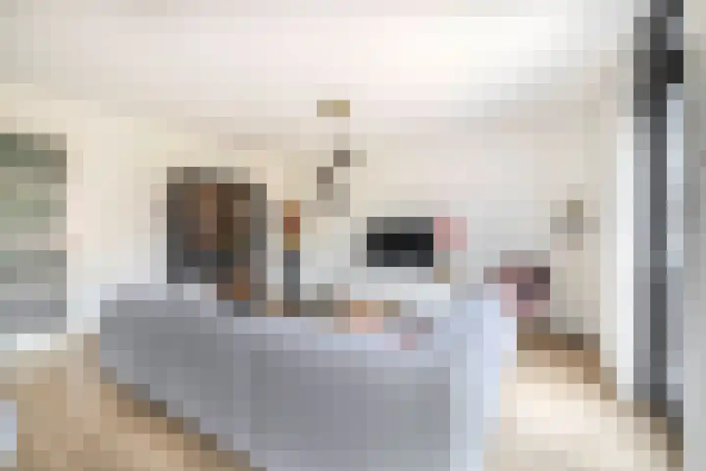 Dubbelspoor 71 Waddinxveen thumbnail 8