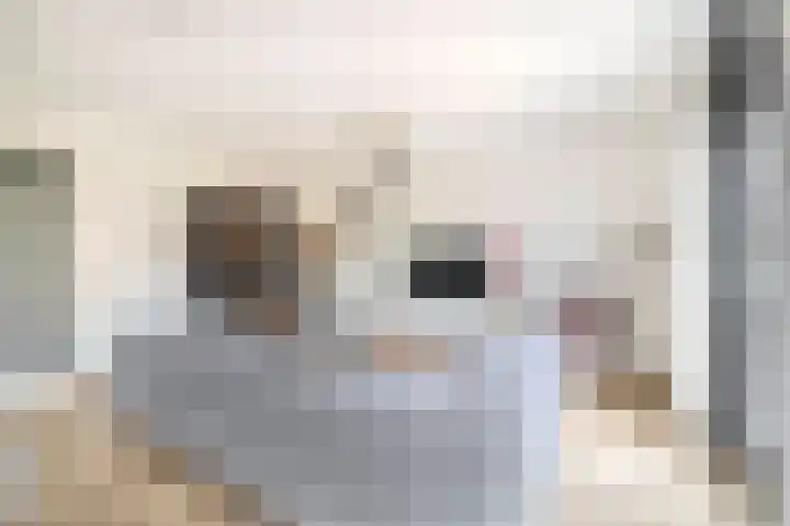 Dubbelspoor 71 Waddinxveen thumbnail 8