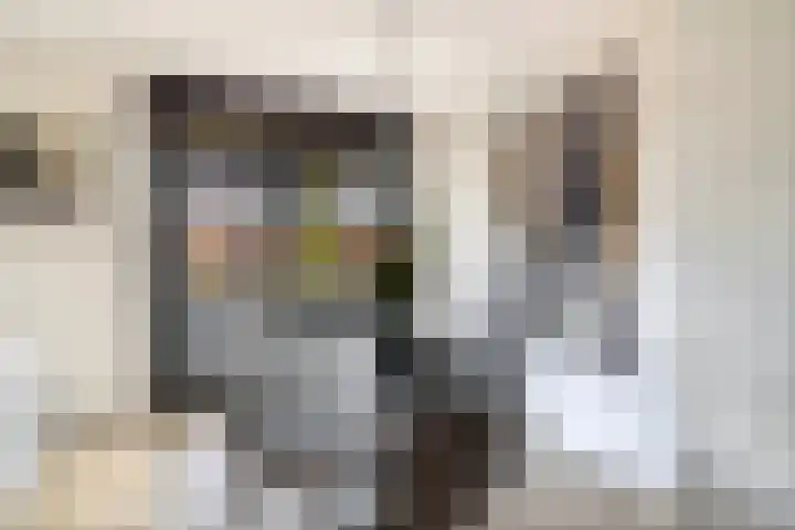 Dubbelspoor 71 Waddinxveen thumbnail 9