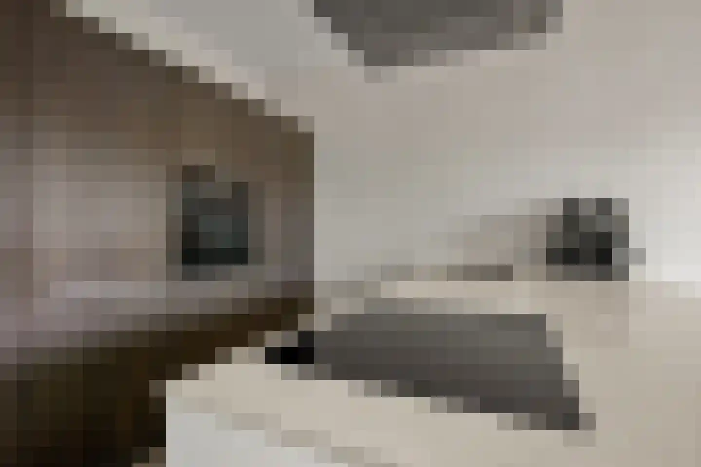 Dubbelspoor 81 Waddinxveen thumbnail 12