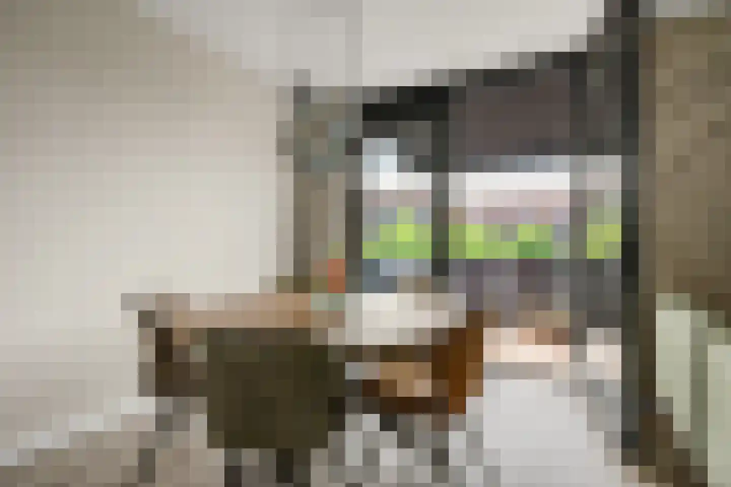 Dubbelspoor 81 Waddinxveen thumbnail 18