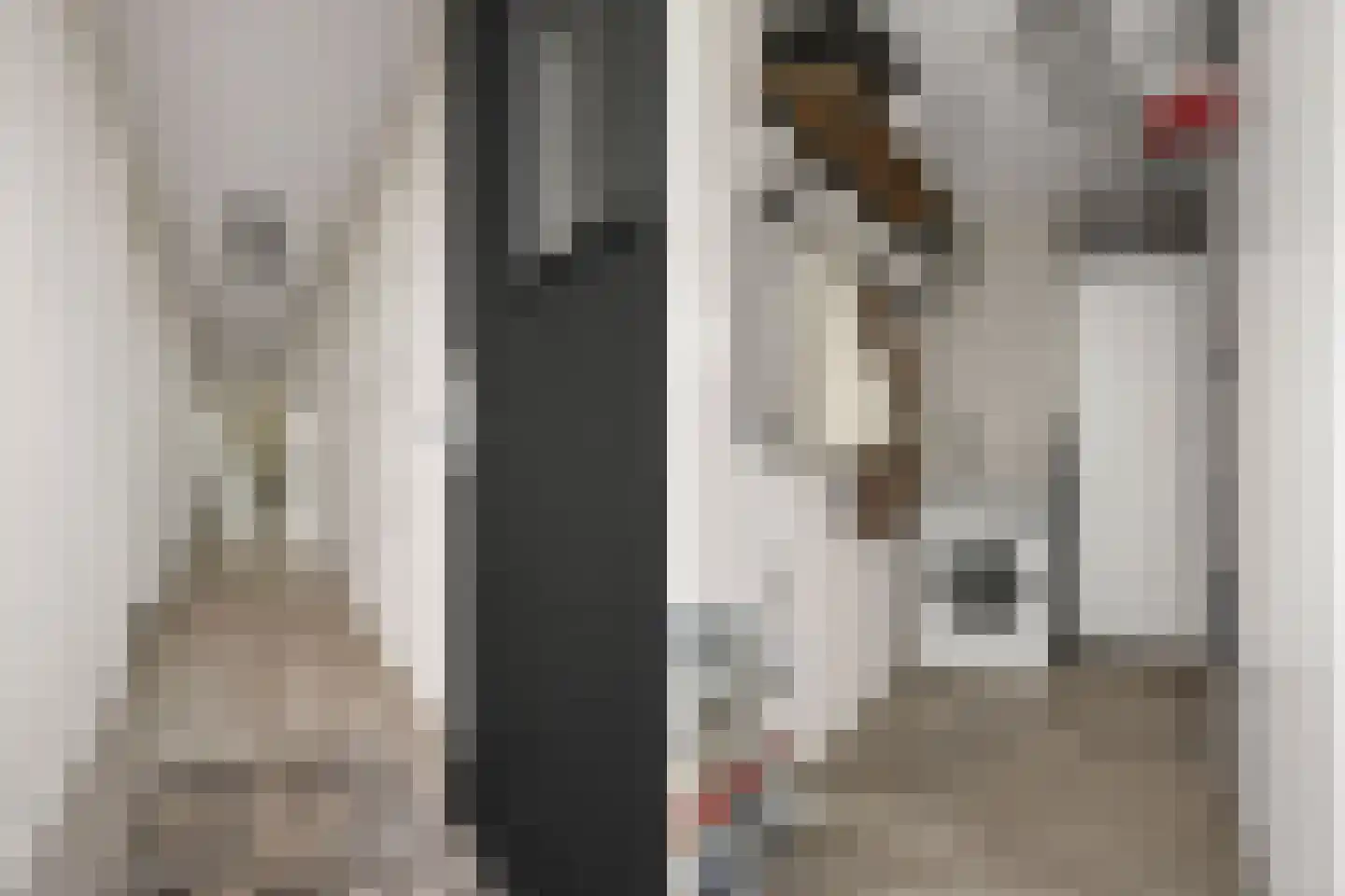 Dubbelspoor 81 Waddinxveen thumbnail 6