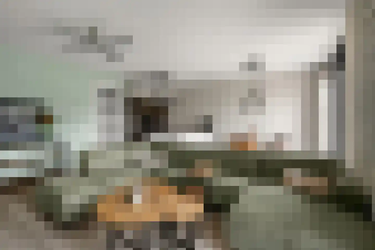 Dubbelspoor 81 Waddinxveen thumbnail 8