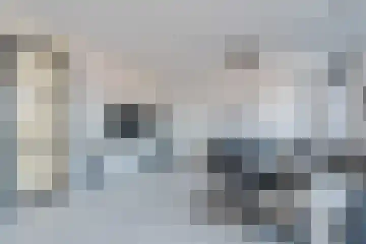 Dubbelspoor 85 Waddinxveen thumbnail 15