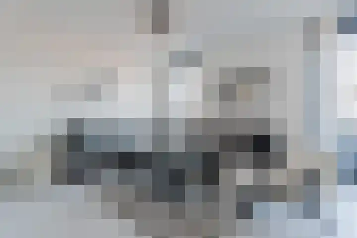 Dubbelspoor 85 Waddinxveen thumbnail 16