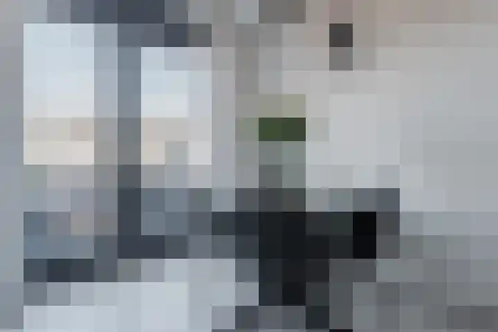 Dubbelspoor 85 Waddinxveen thumbnail 17