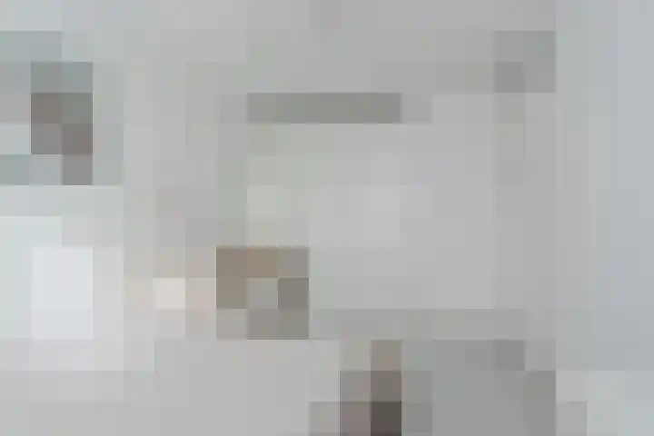 Dubbelspoor 85 Waddinxveen thumbnail 22