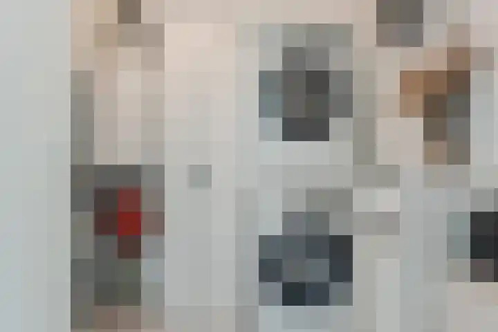 Dubbelspoor 85 Waddinxveen thumbnail 25