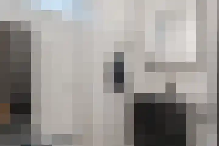 Dubbelspoor 85 Waddinxveen thumbnail 27