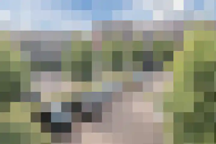 Dubbelspoor 85 Waddinxveen thumbnail 34