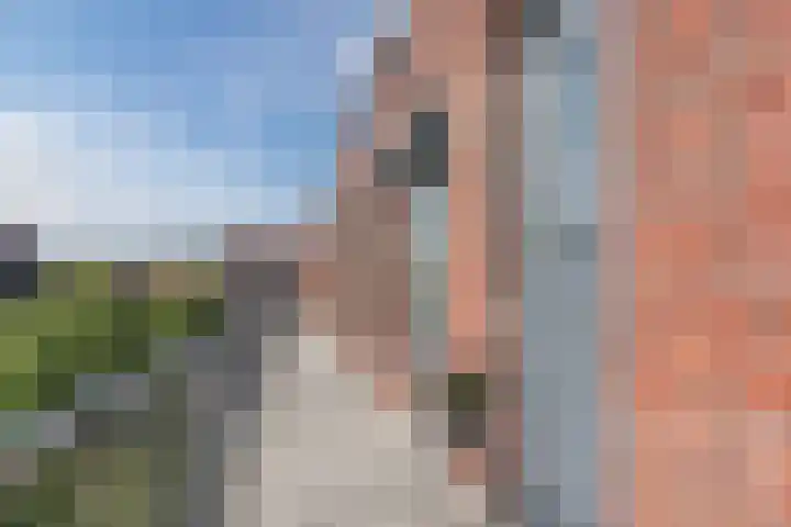 Dubbelspoor 85 Waddinxveen thumbnail 8