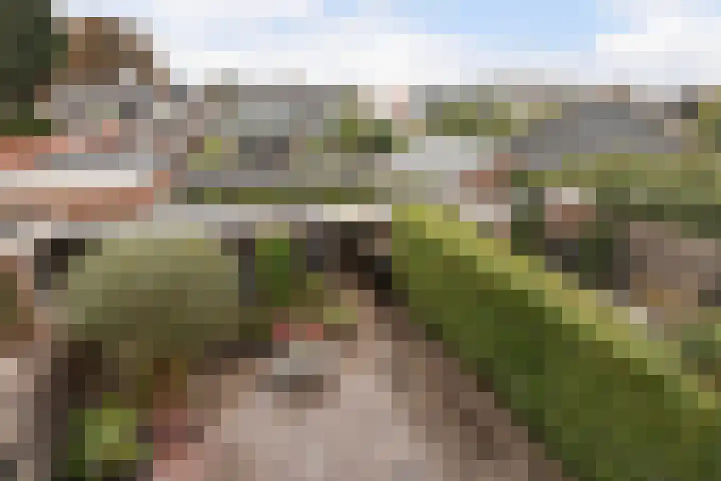 Dubbelsteynlaan Oost 114 Dordrecht thumbnail 23