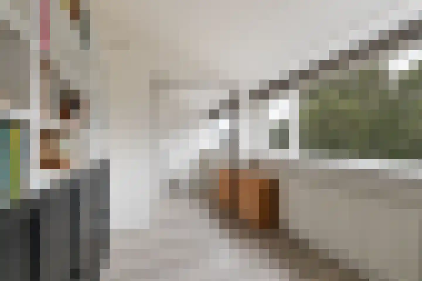 Dubbelsteynlaan Oost 114 Dordrecht thumbnail 29