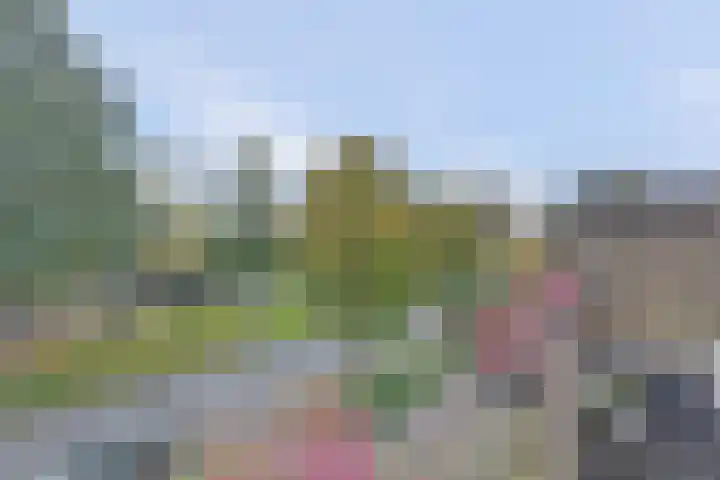 Dubbelsteynlaan Oost 130 Dordrecht thumbnail 31