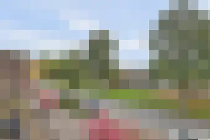 Dubbelsteynlaan Oost 130 Dordrecht thumbnail 32