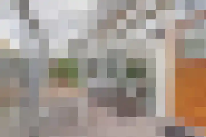 Dubbelsteynlaan Oost 130 Dordrecht thumbnail 33