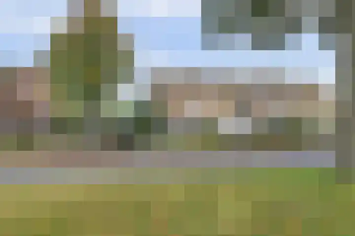 Dubbelsteynlaan Oost 130 Dordrecht thumbnail 39