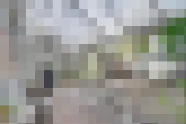 Dubbelsteynlaan Oost 130 Dordrecht thumbnail 6