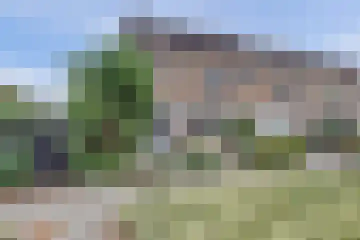Dubbelsteynlaan Oost 130 Dordrecht thumbnail 7