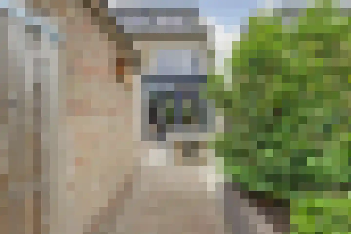 Dubbelsteynlaan Oost 153 Dordrecht thumbnail 51