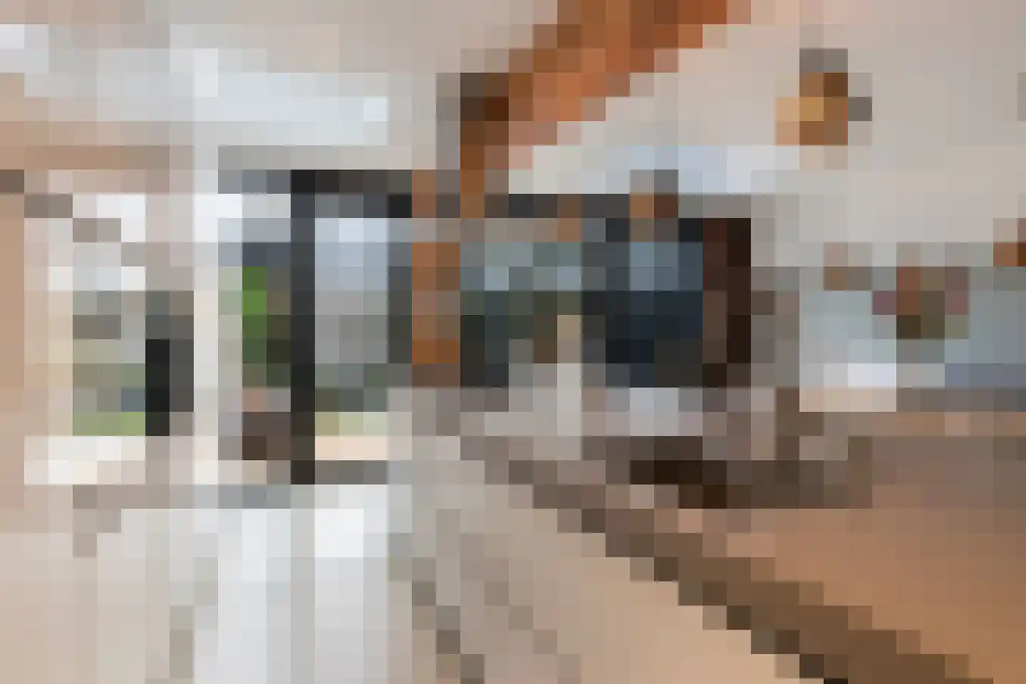 Dubbelsteynlaan Oost 160 Dordrecht thumbnail 25