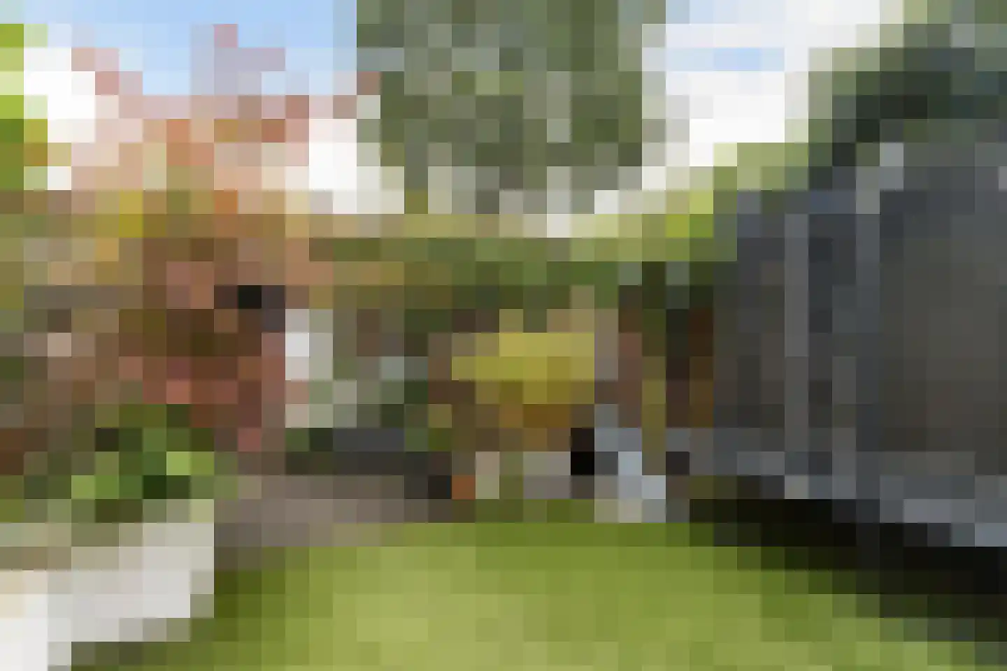 Dubbelsteynlaan Oost 160 Dordrecht thumbnail 31