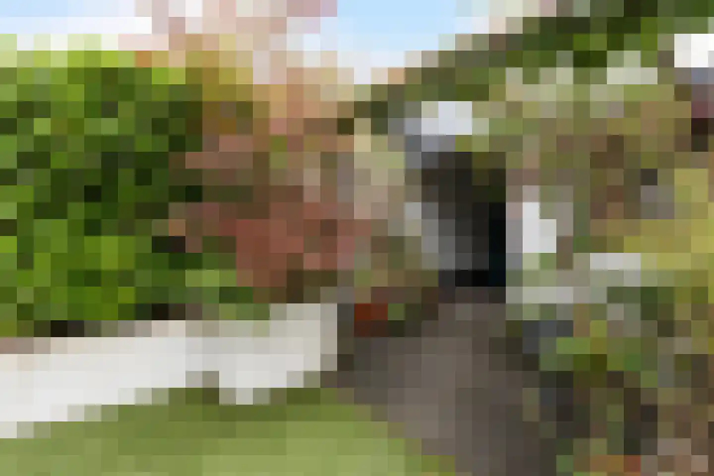 Dubbelsteynlaan Oost 160 Dordrecht thumbnail 32